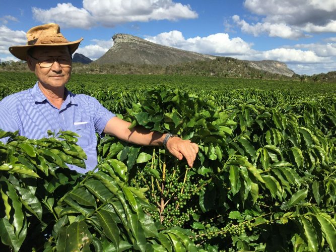 fazenda-nishioka